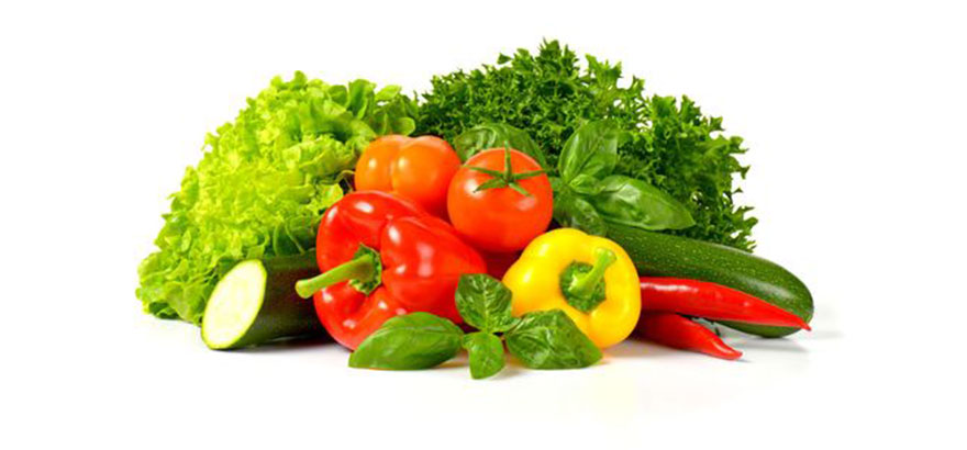 website template image